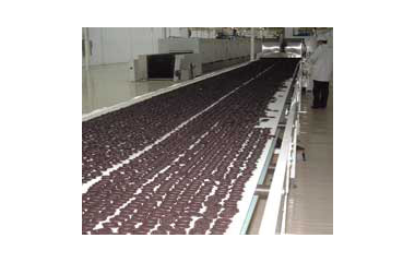Транспортни ленти за производство на шоколадови изделия