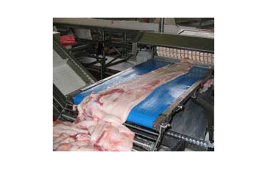 Транспортни ленти за месо- и рибо-преработка